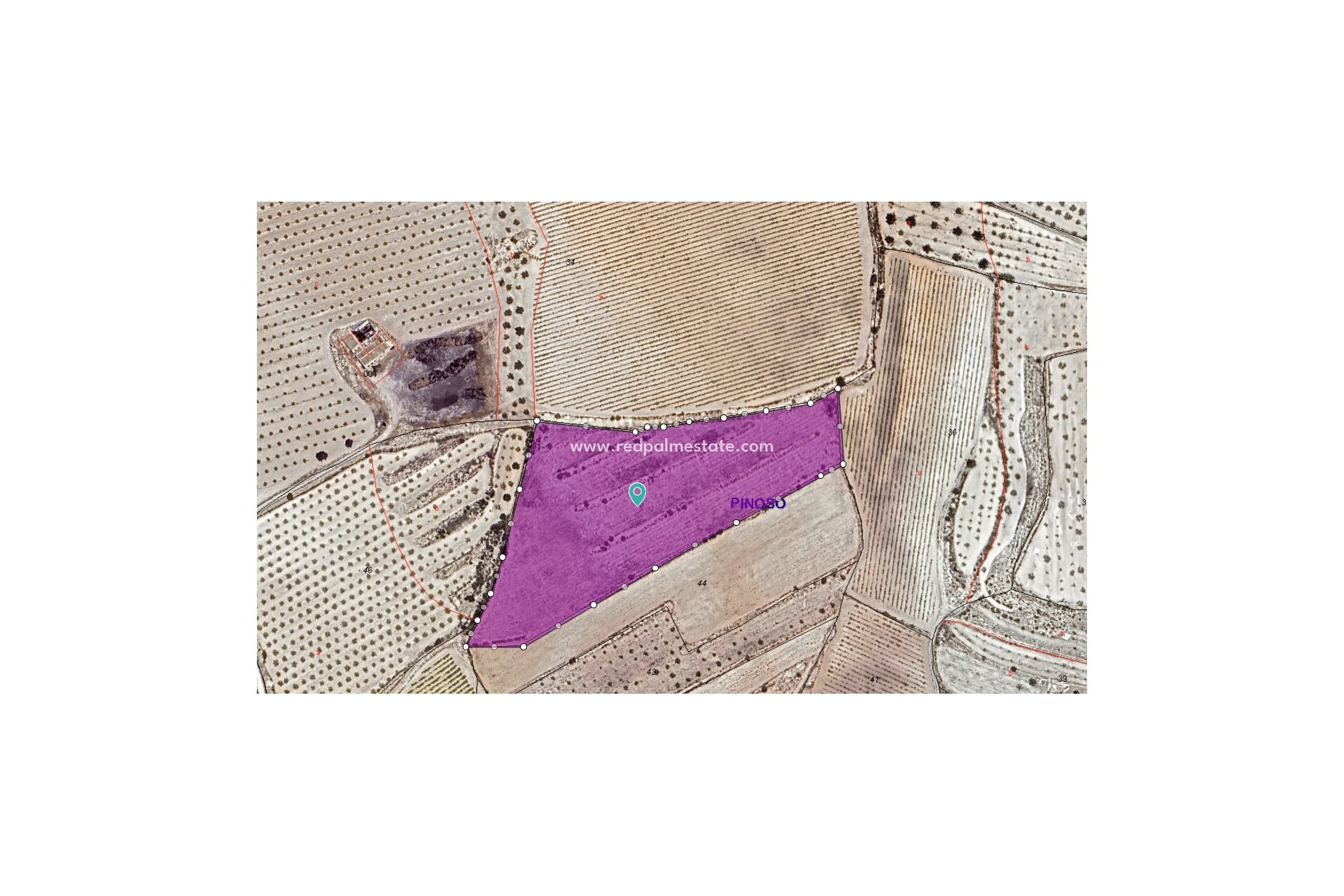 Resale - Plot -
Pinoso - Inland