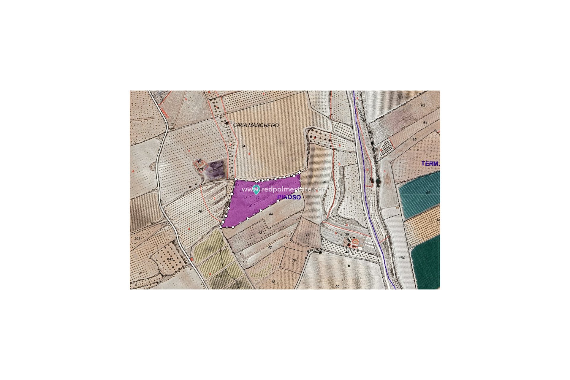 Resale - Plot -
Pinoso - Inland