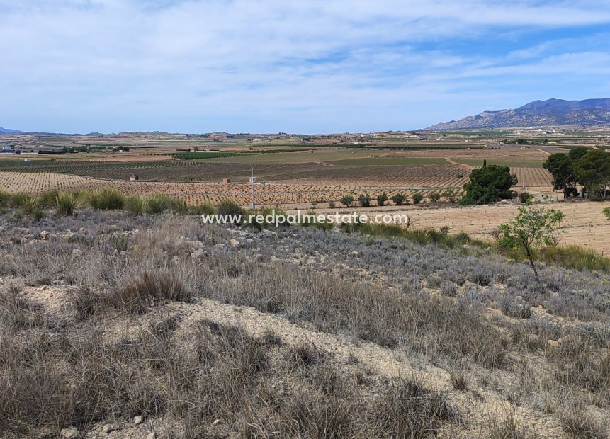 Resale - Plot -
Pinoso - Inland