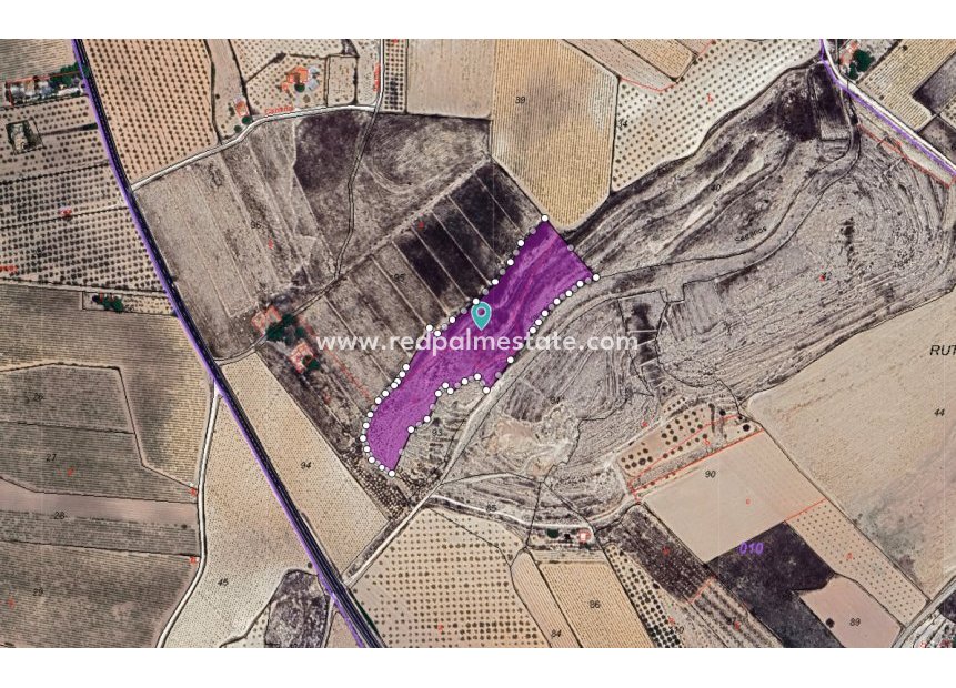 Resale - Plot -
Pinoso - Inland