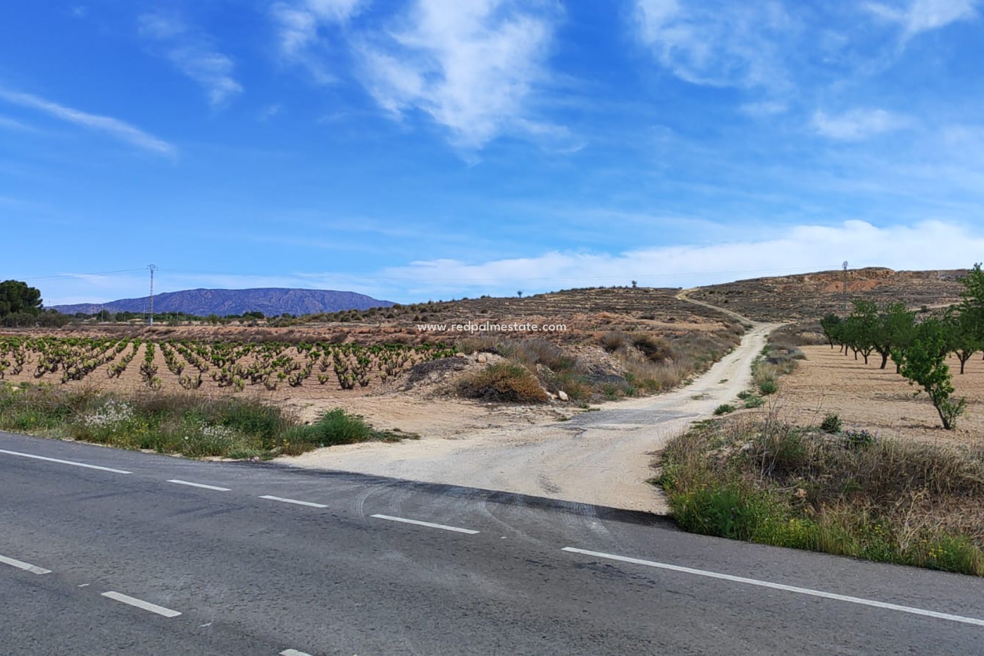 Resale - Plot -
Pinoso - Inland