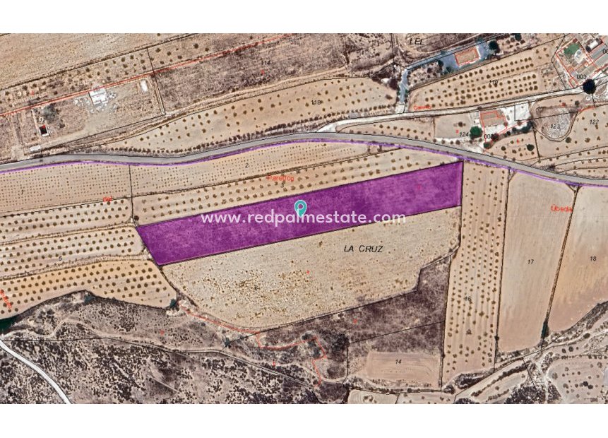 Resale - Plot -
Pinoso - Inland