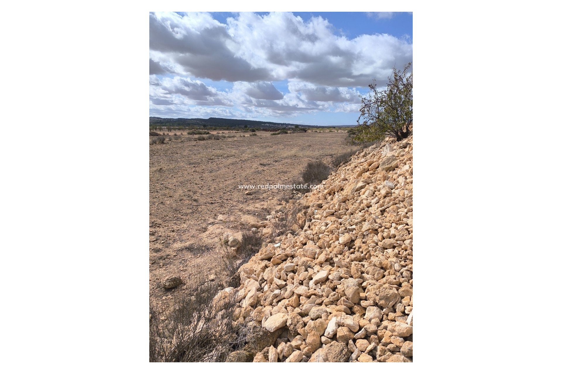 Resale - Plot -
Pinoso - Inland