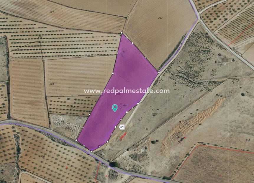 Resale - Plot -
Pinoso - Inland