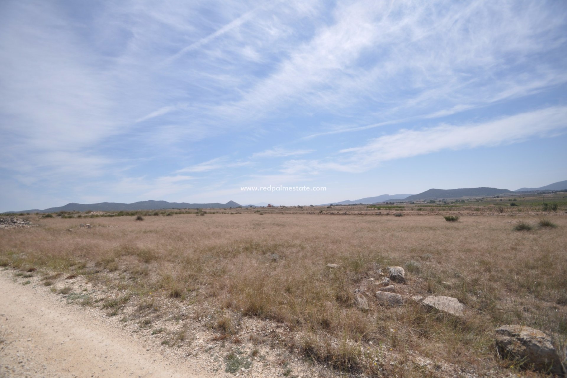 Resale - Plot -
Pinoso - Inland