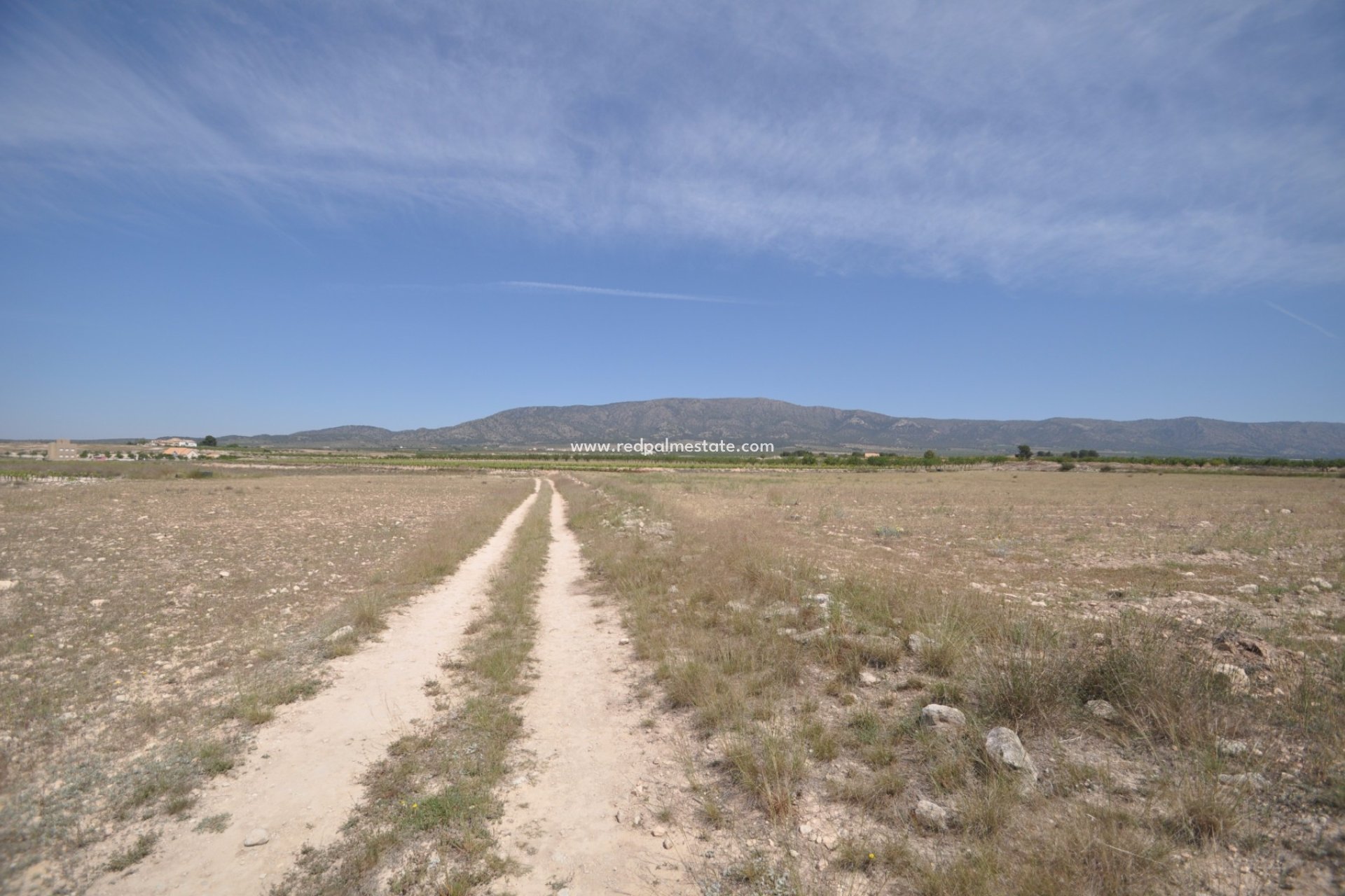 Resale - Plot -
Pinoso - Inland
