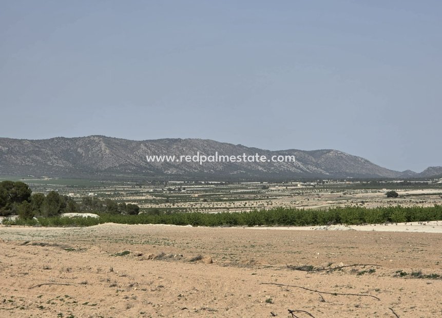 Resale - Plot -
Pinoso - Inland