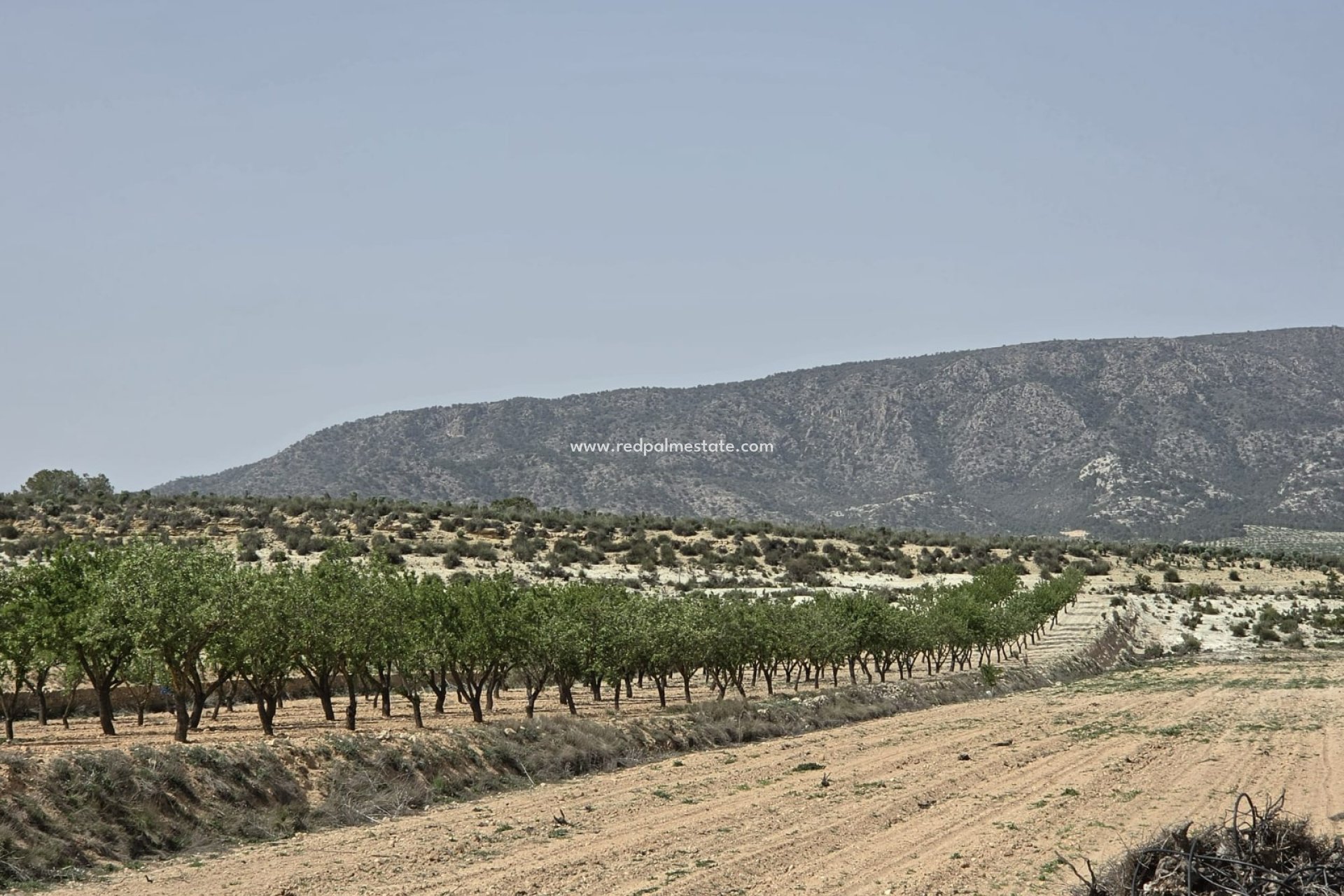 Resale - Plot -
Pinoso - Inland