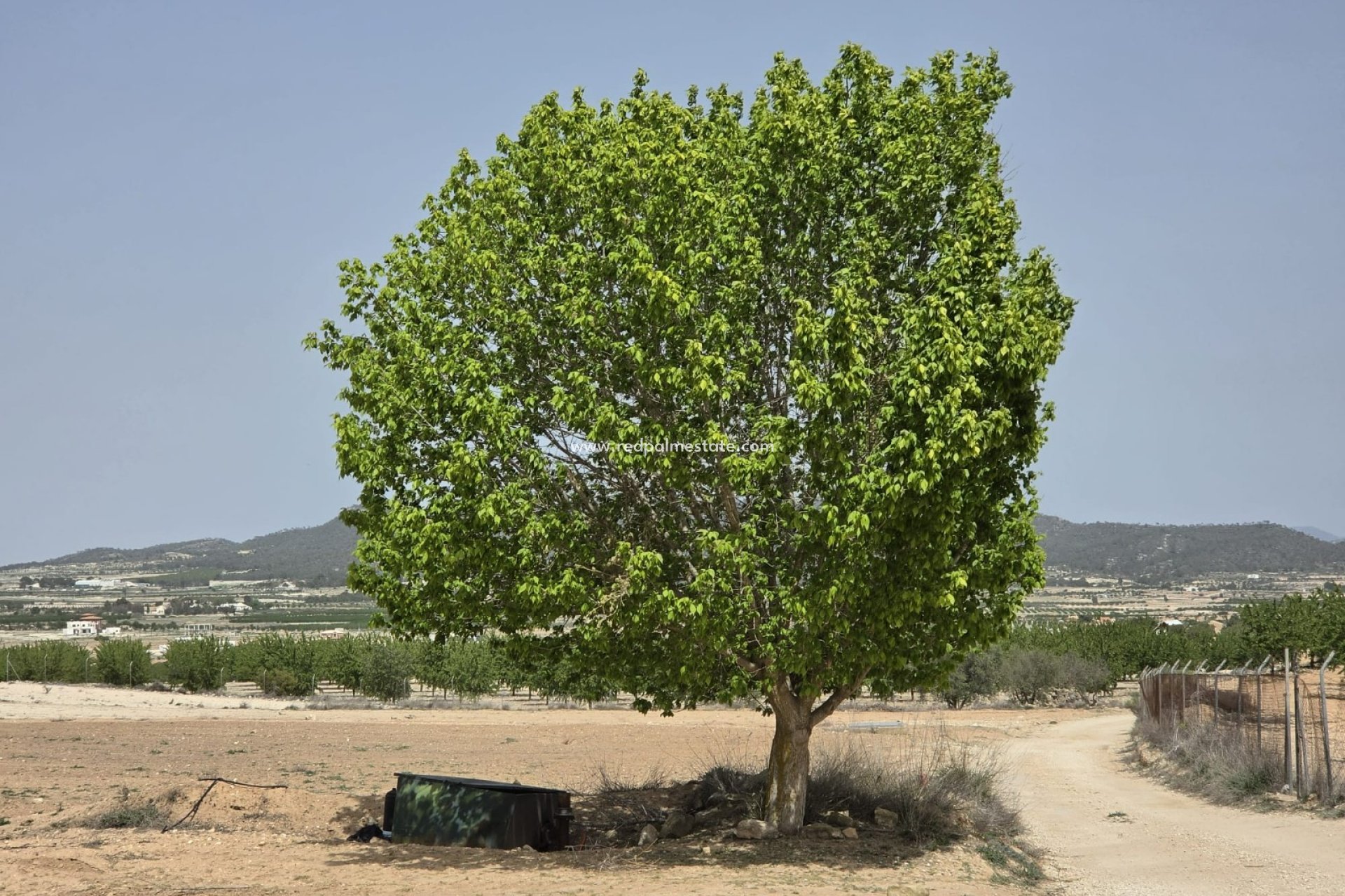 Resale - Plot -
Pinoso - Inland