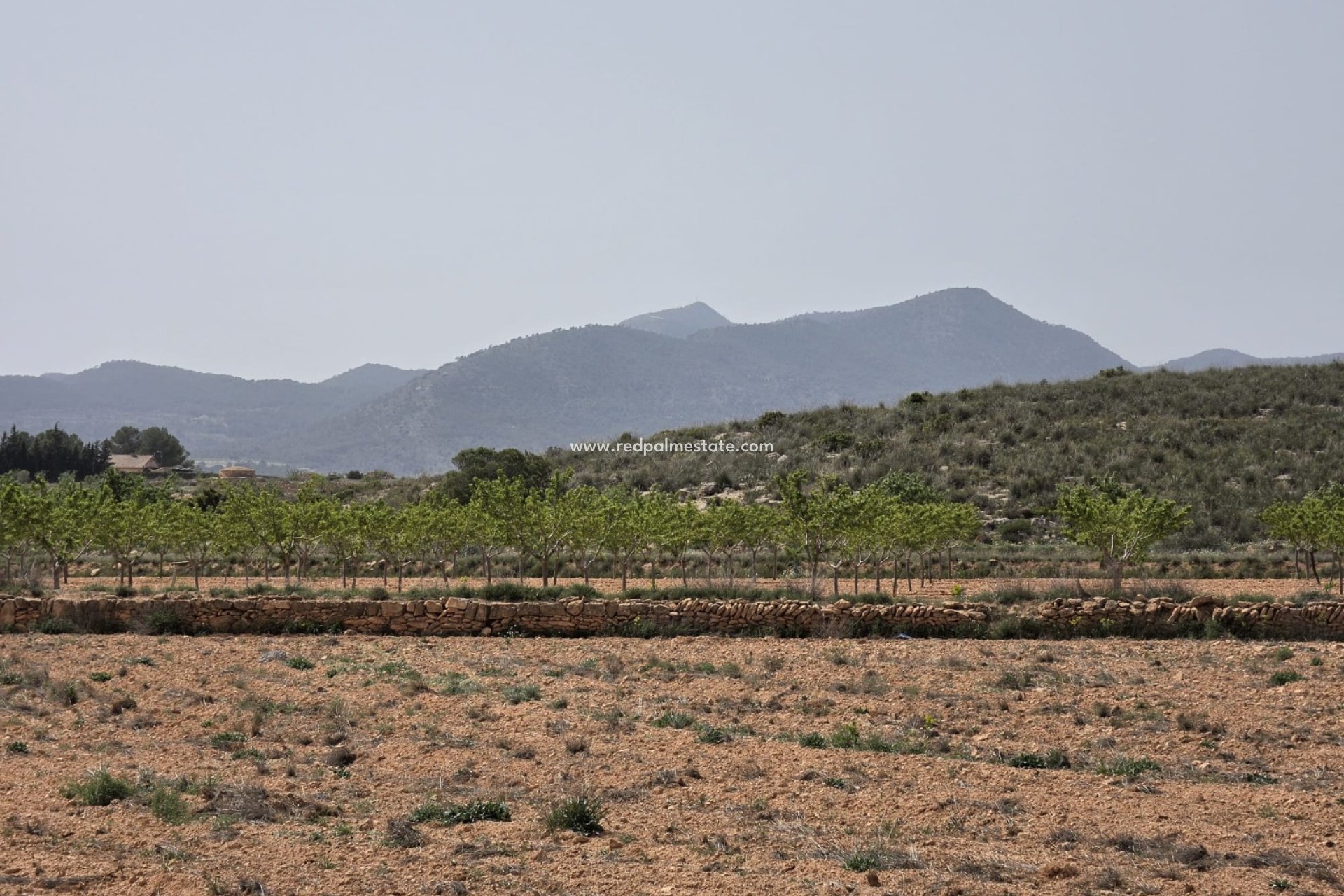 Resale - Plot -
Pinoso - Inland