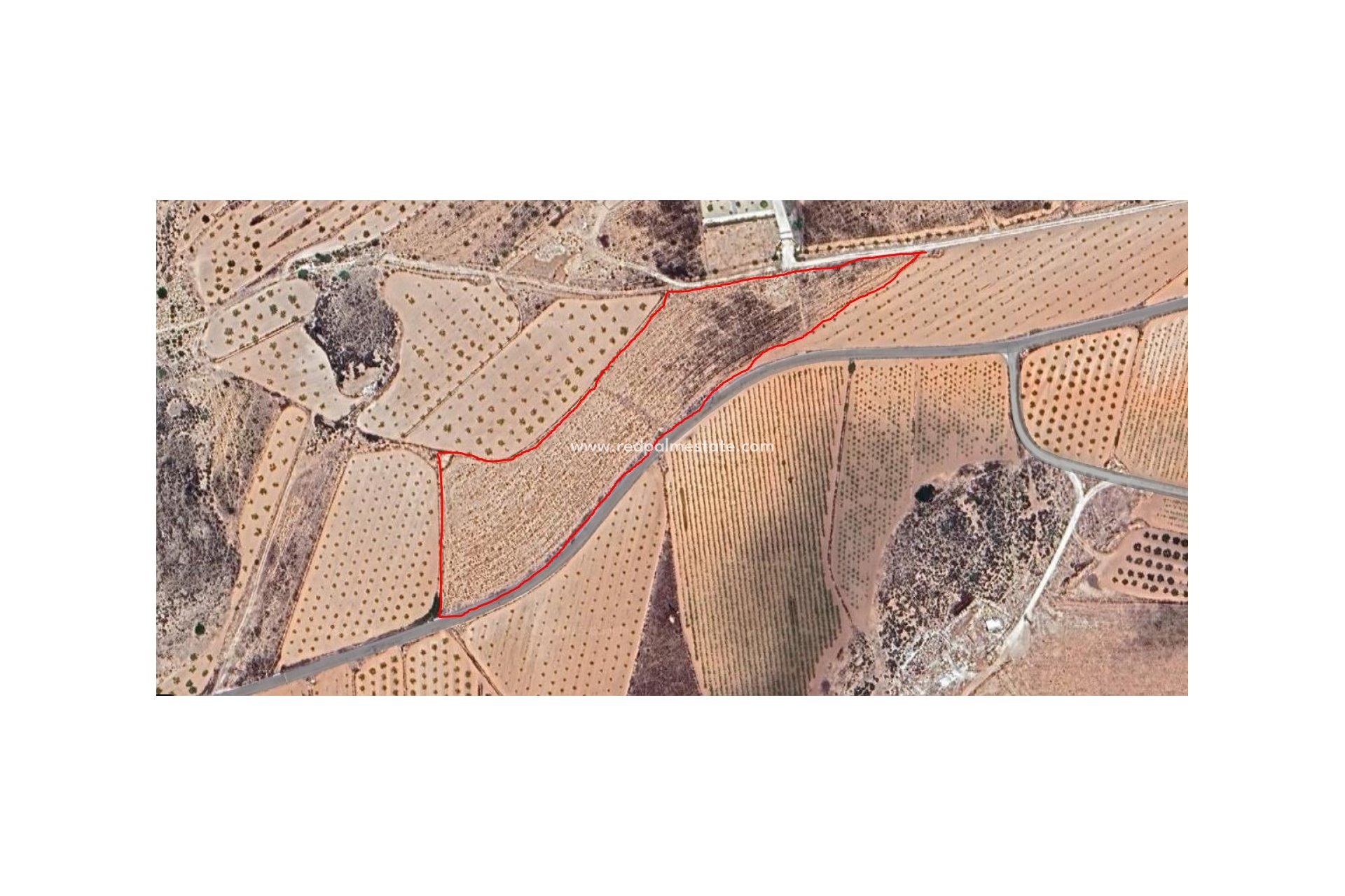 Resale - Plot -
Pinoso - Inland