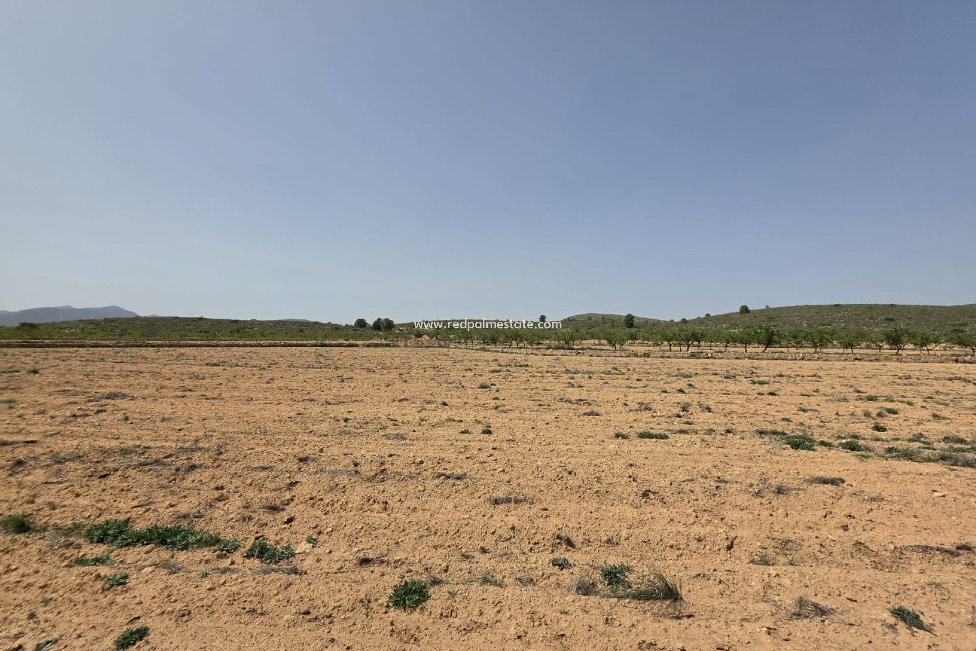 Resale - Plot -
Pinoso - Inland