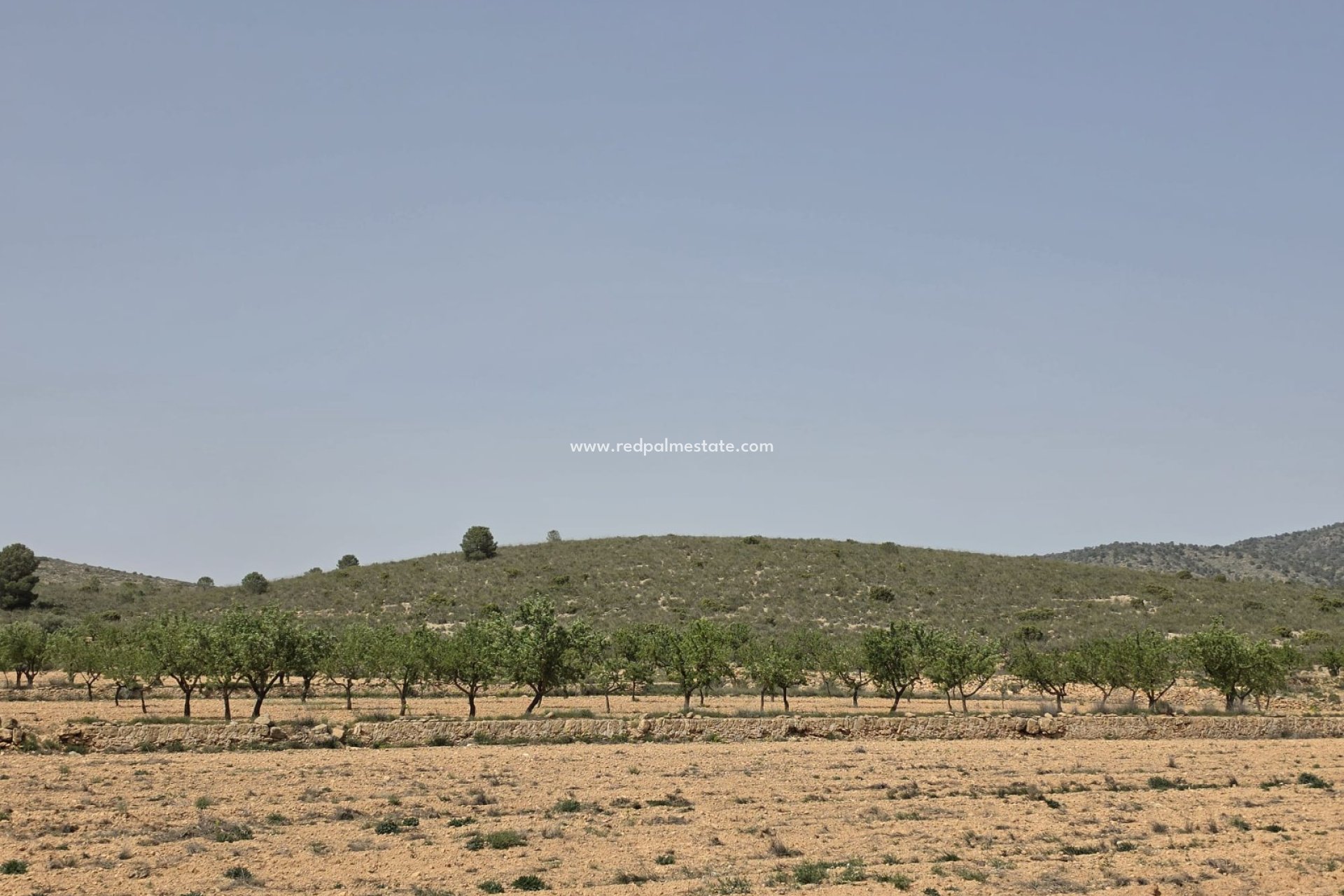 Resale - Plot -
Pinoso - Inland