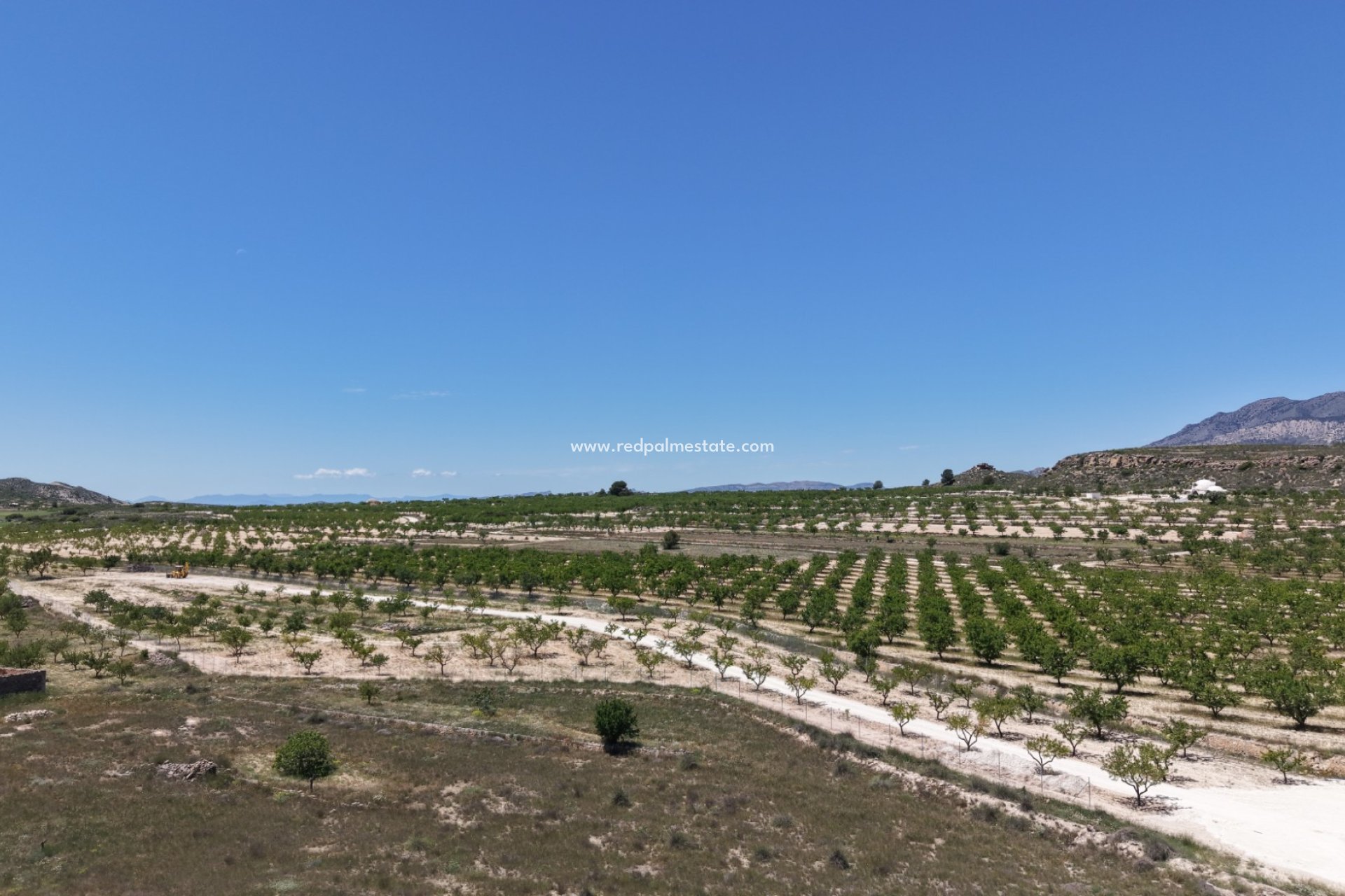 Resale - Plot -
Pinoso - Inland