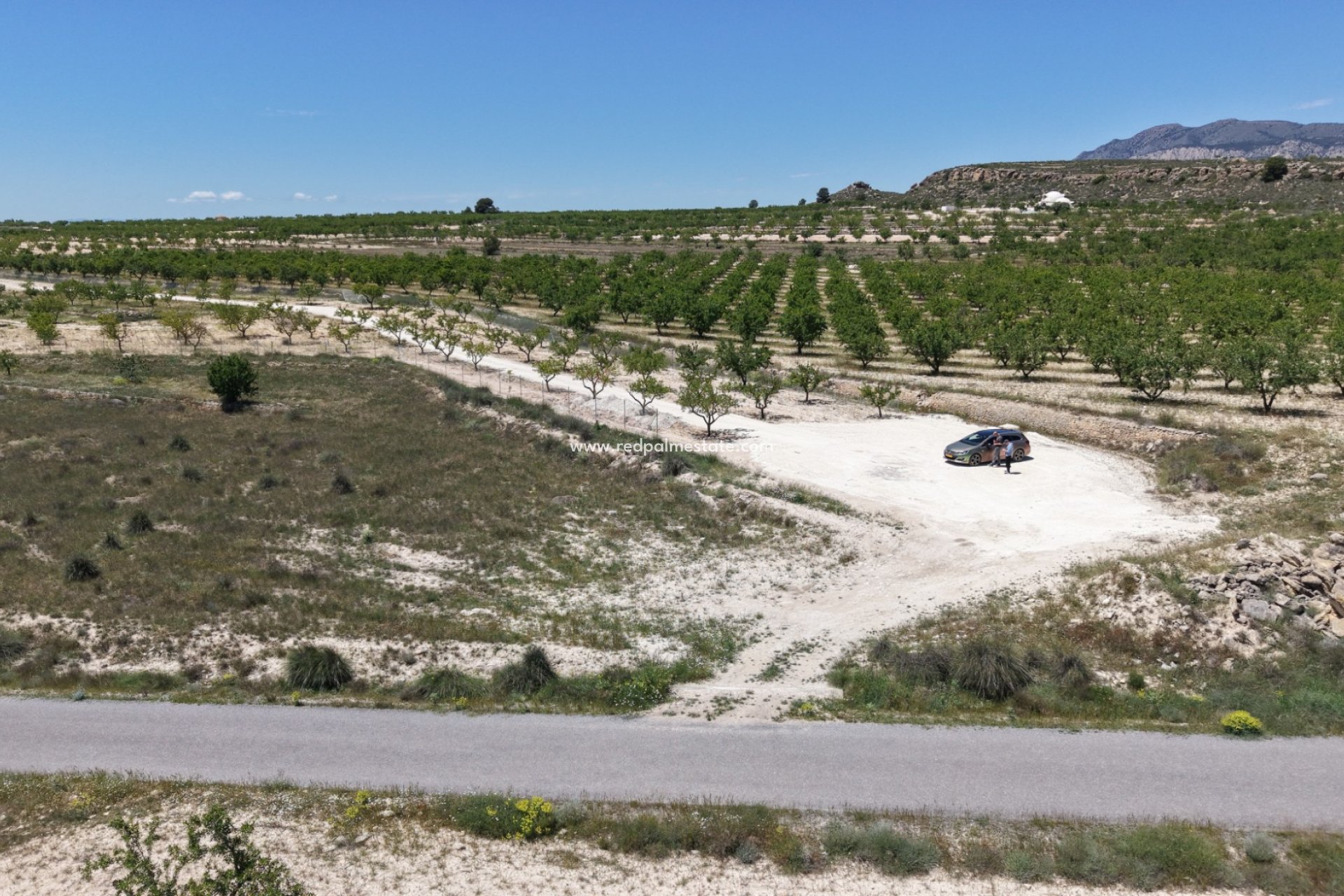 Resale - Plot -
Pinoso - Inland