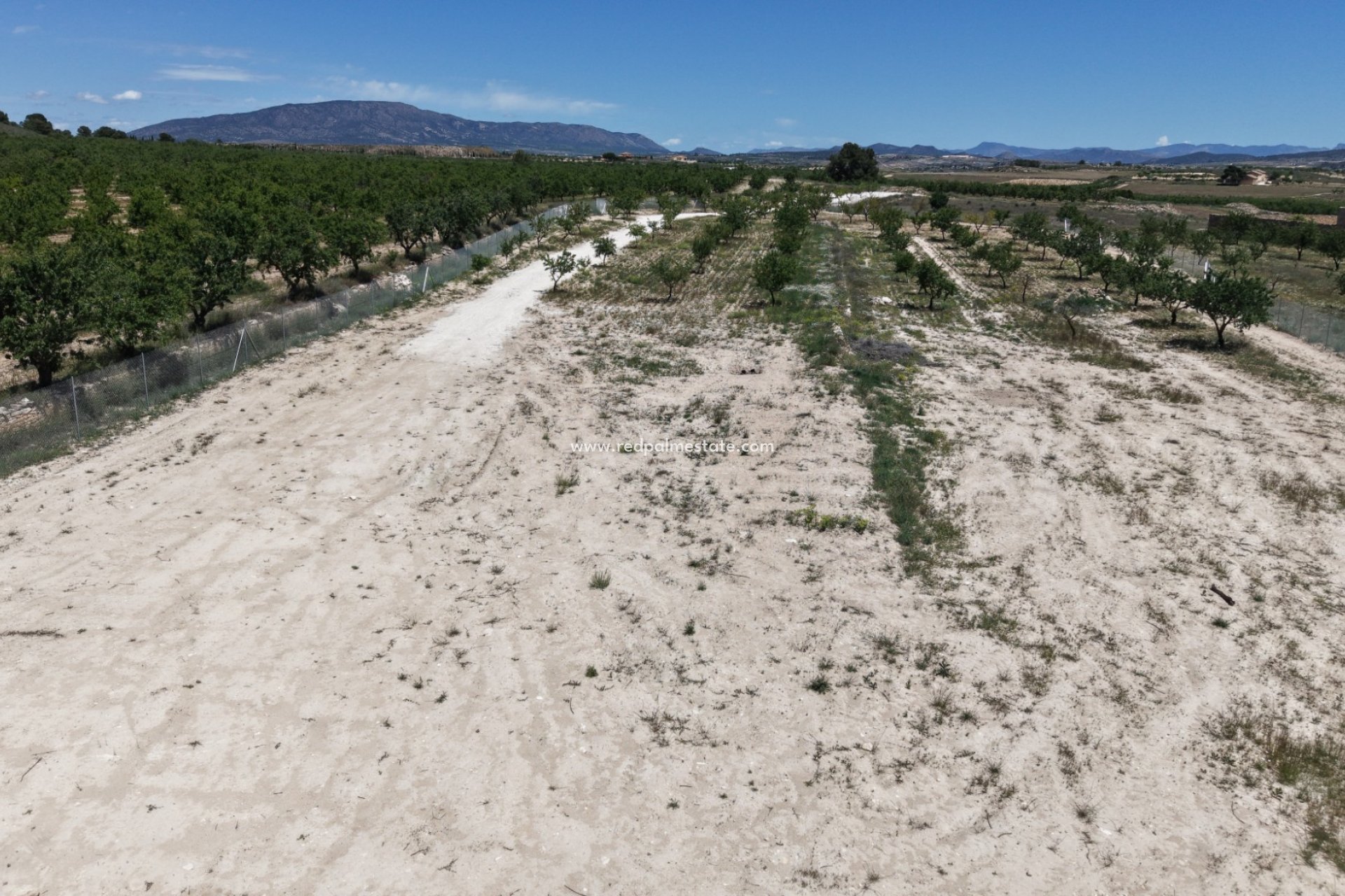 Resale - Plot -
Pinoso - Inland