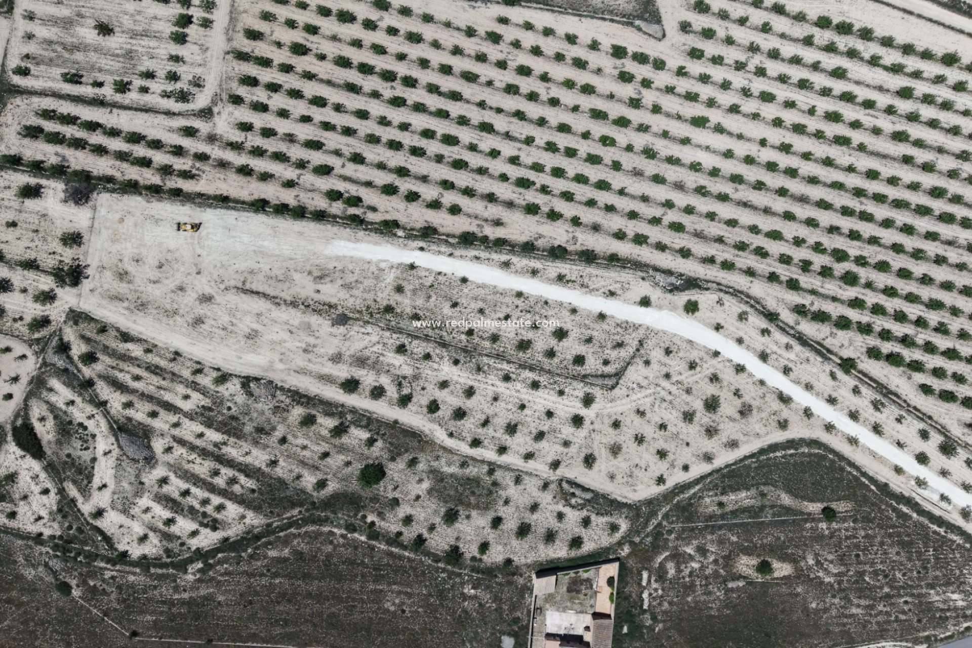 Resale - Plot -
Pinoso - Inland