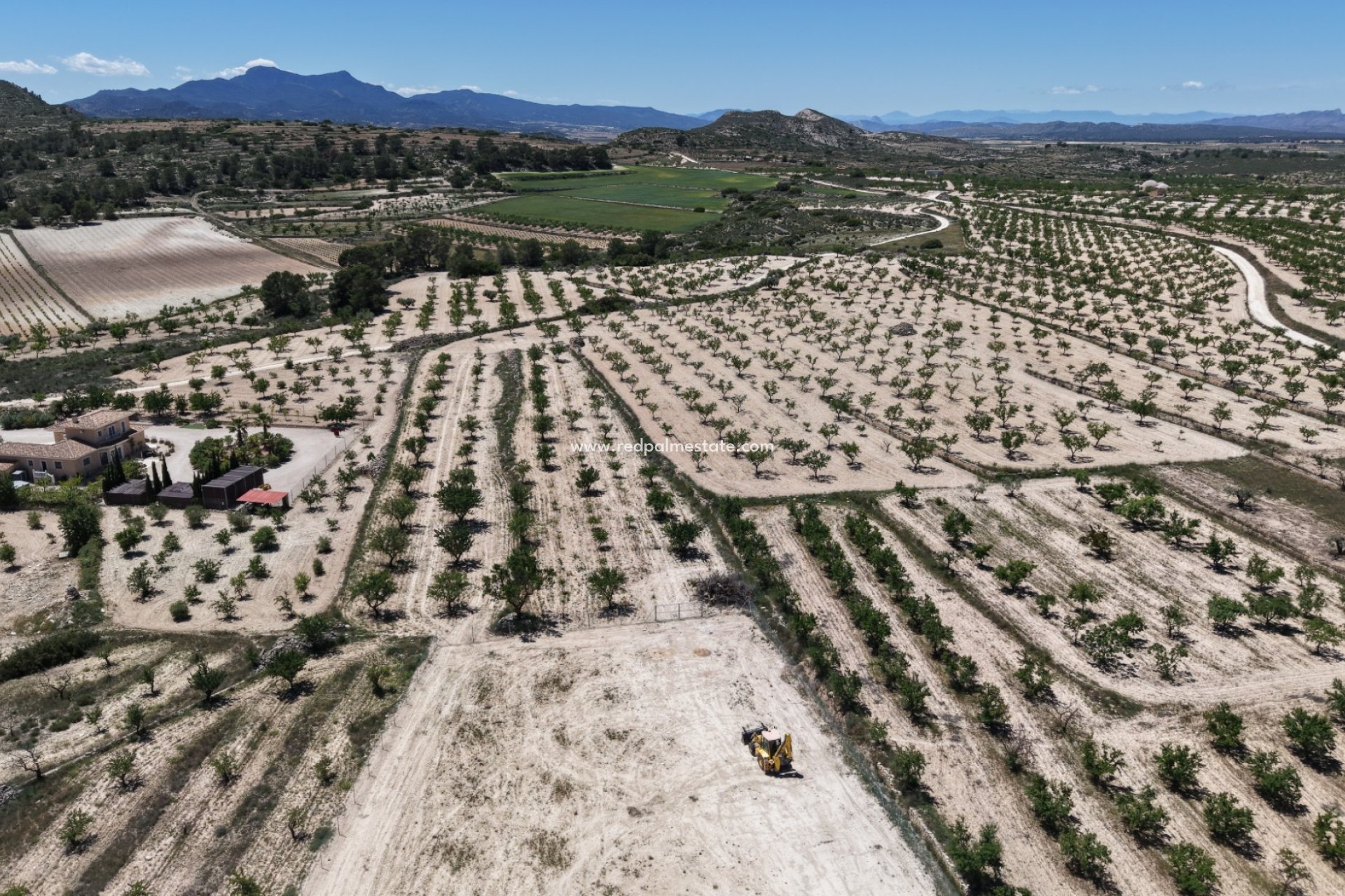 Resale - Plot -
Pinoso - Inland