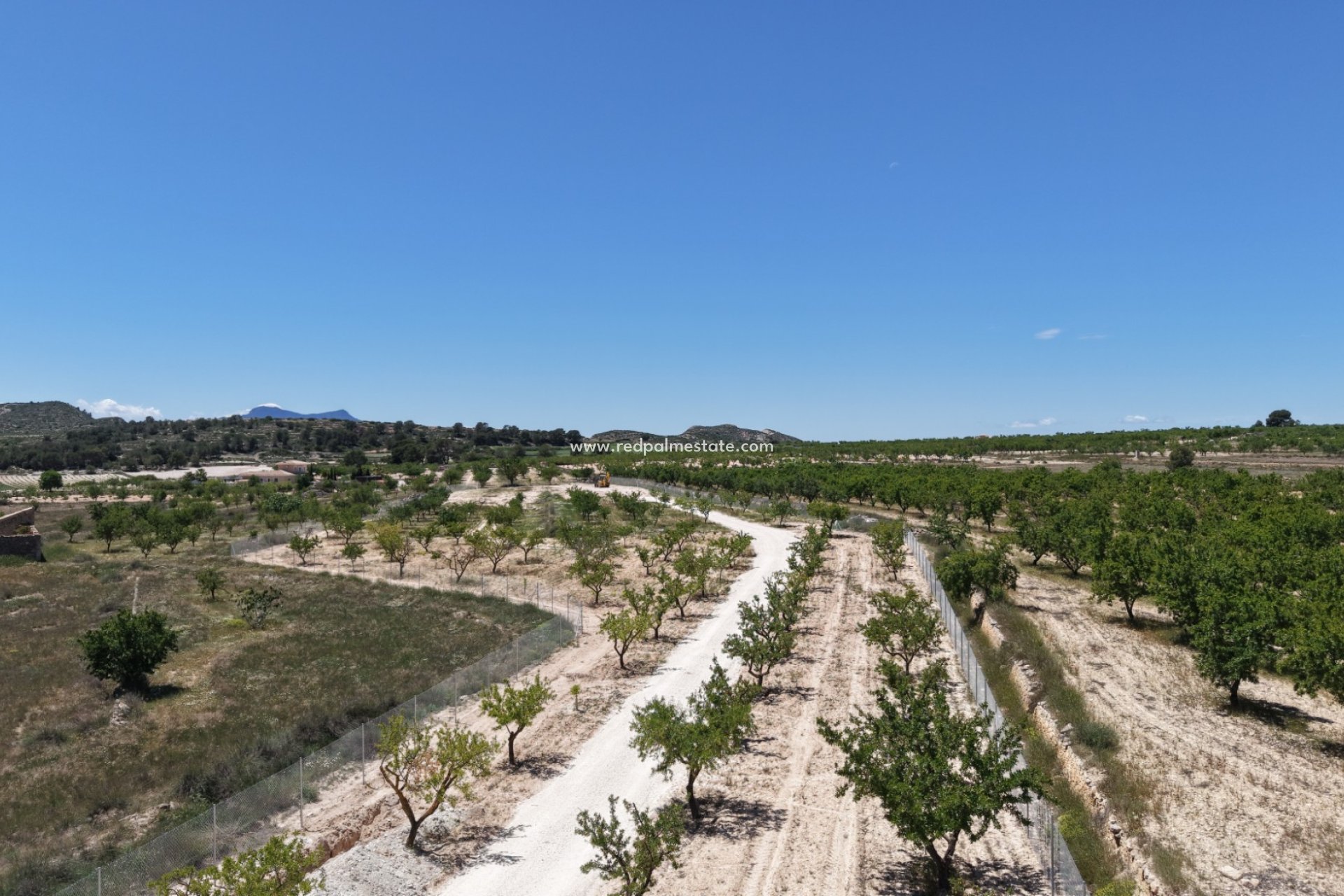 Resale - Plot -
Pinoso - Inland