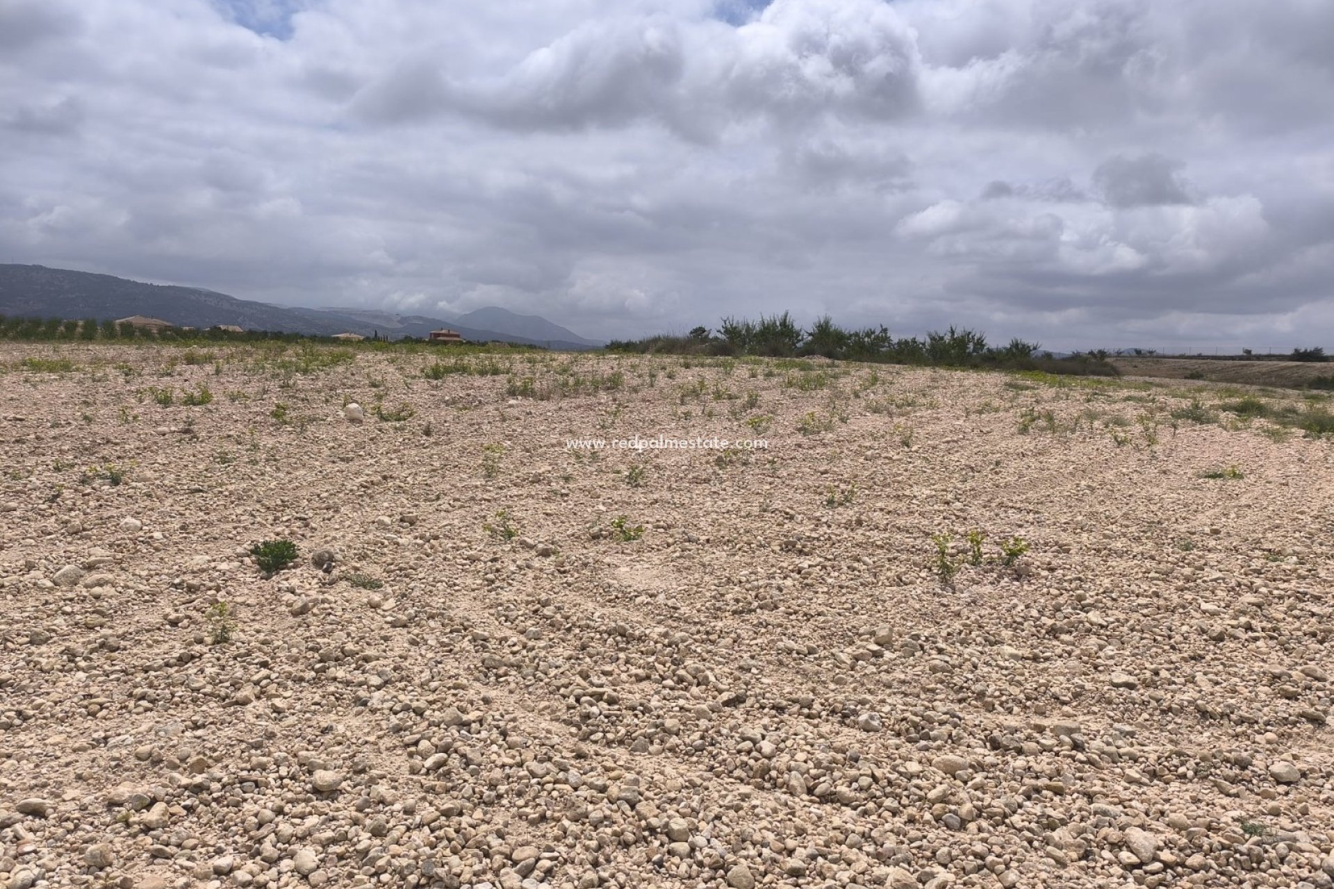 Resale - Plot -
Pinoso - Inland