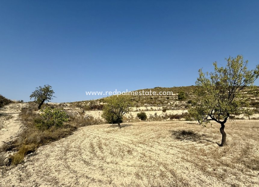 Resale - Plot -
Relleu - Costa Blanca