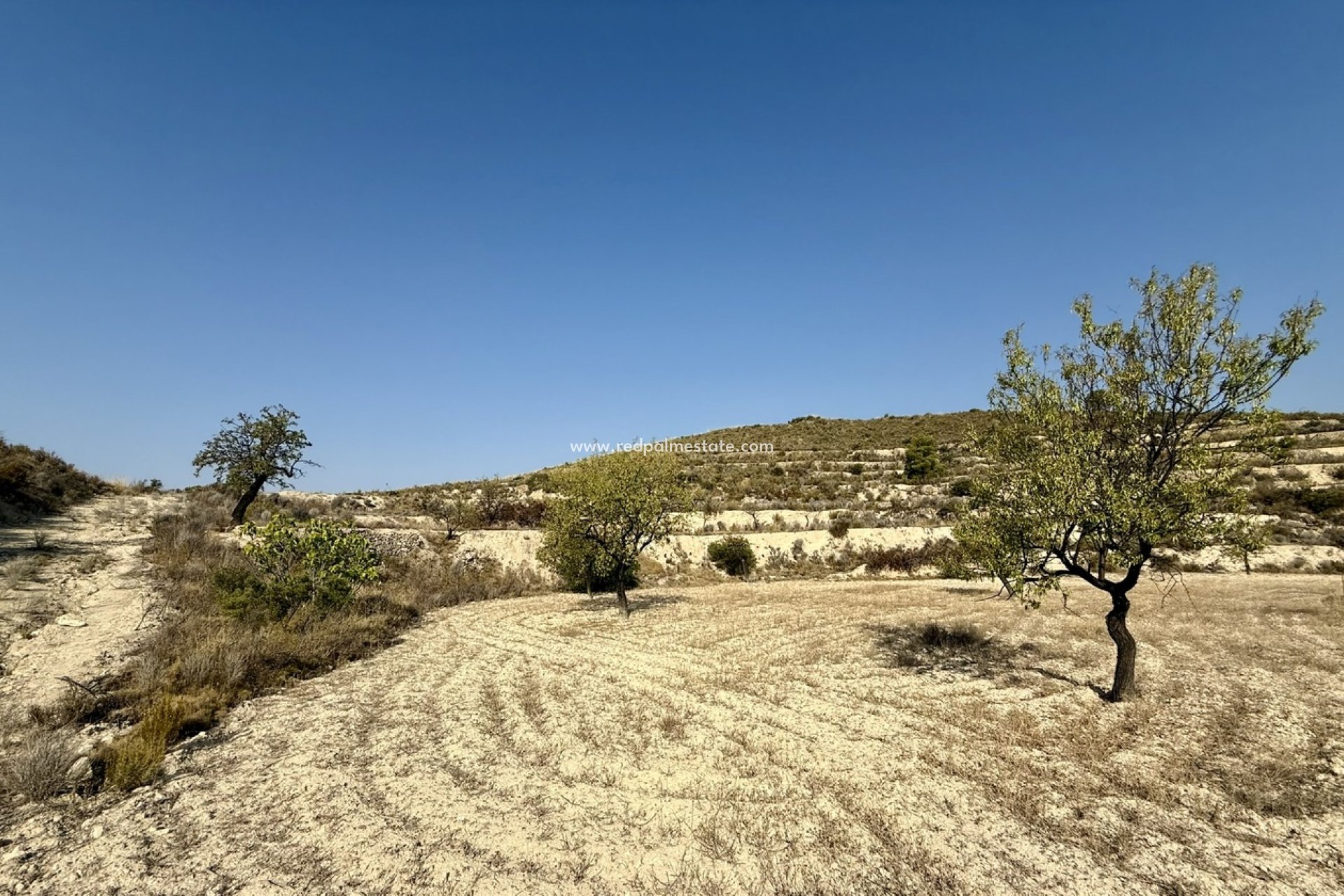 Resale - Plot -
Relleu - Costa Blanca