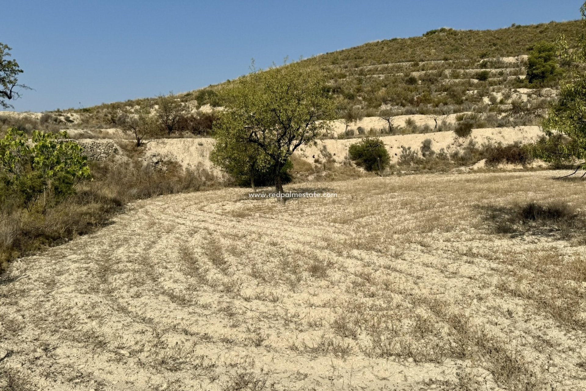 Resale - Plot -
Relleu - Costa Blanca