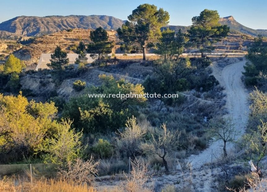 Resale - Plot -
Relleu - Inland