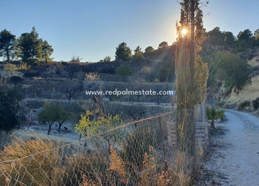 Resale - Plot -
Relleu - Inland