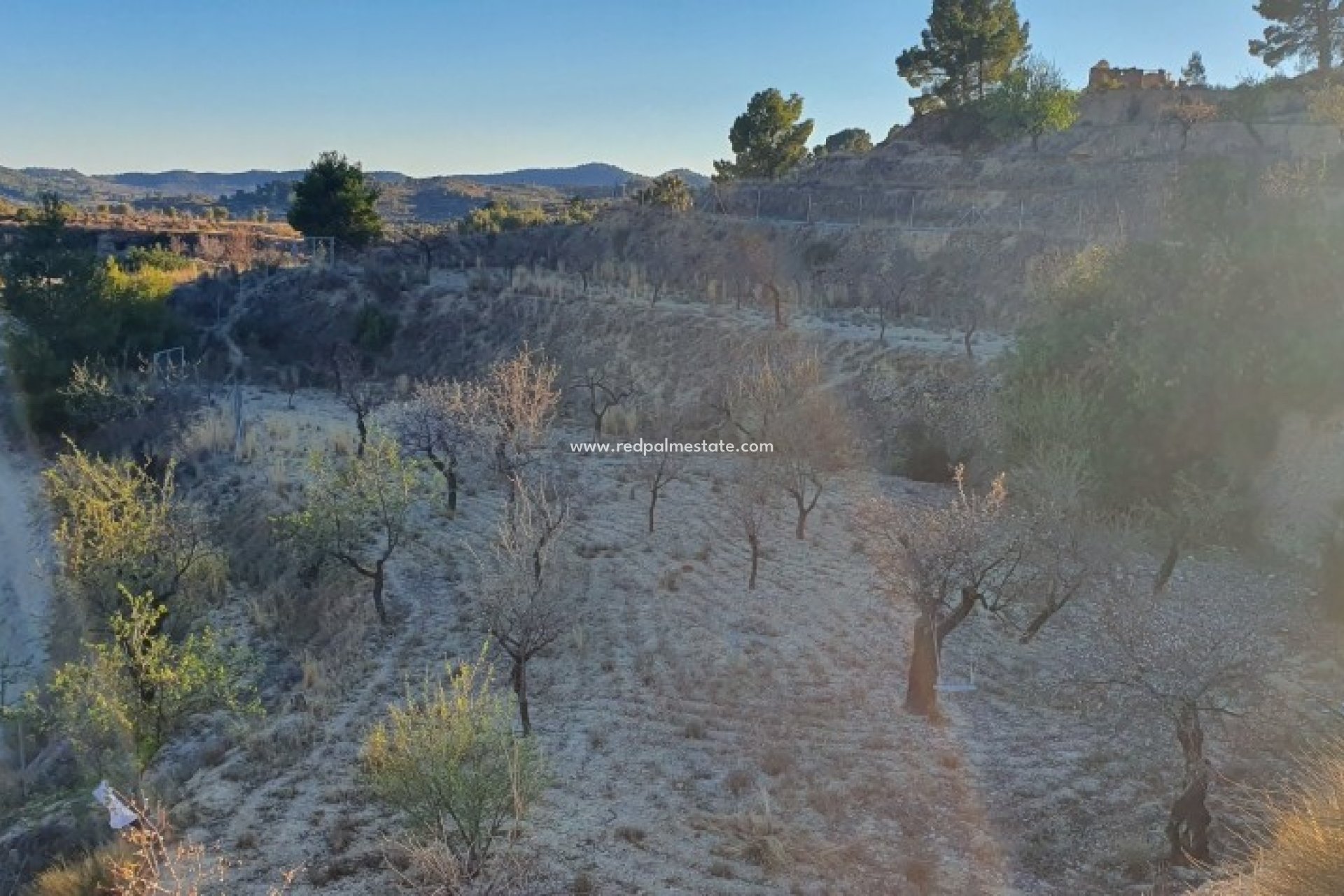 Resale - Plot -
Relleu - Inland