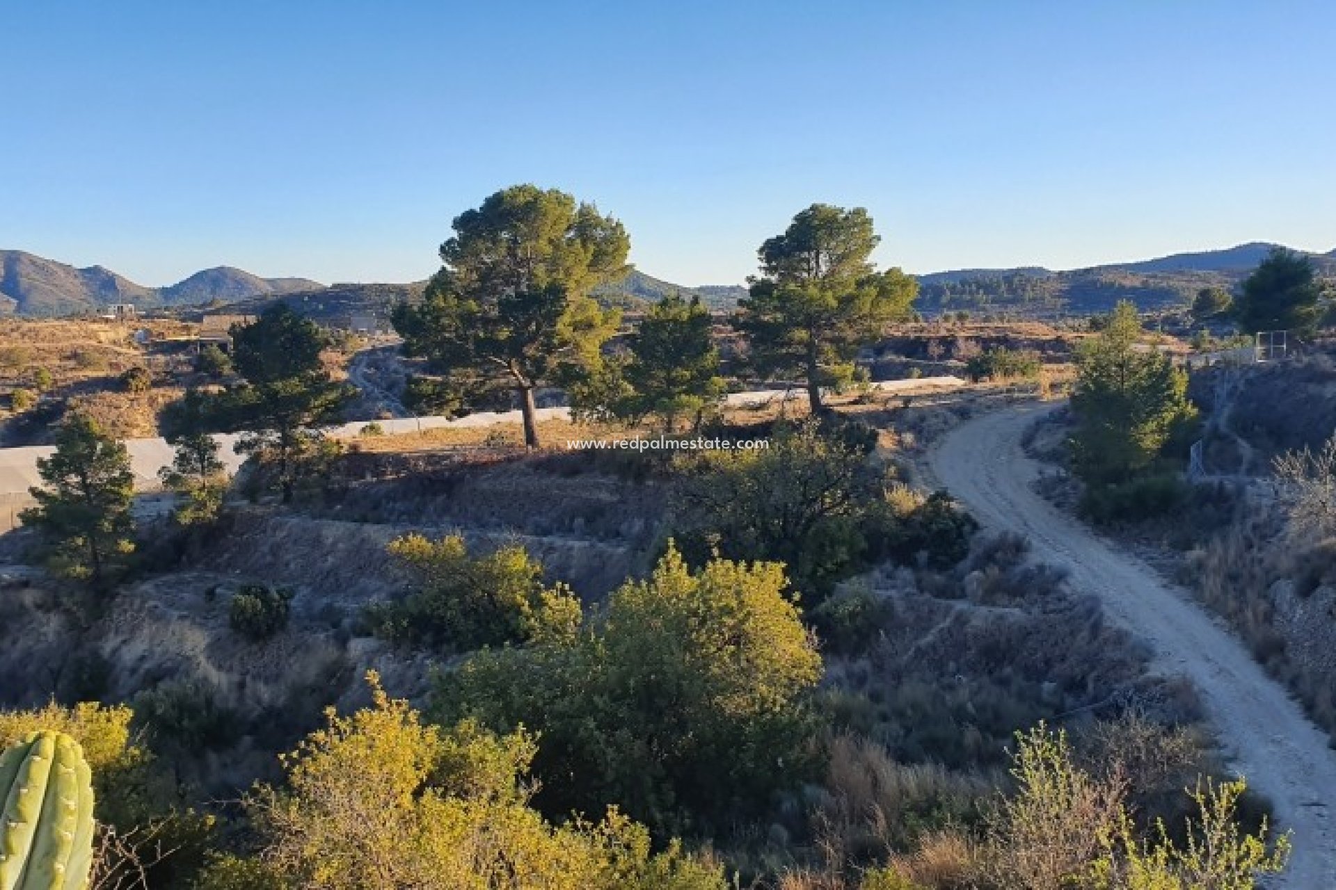 Resale - Plot -
Relleu - Inland