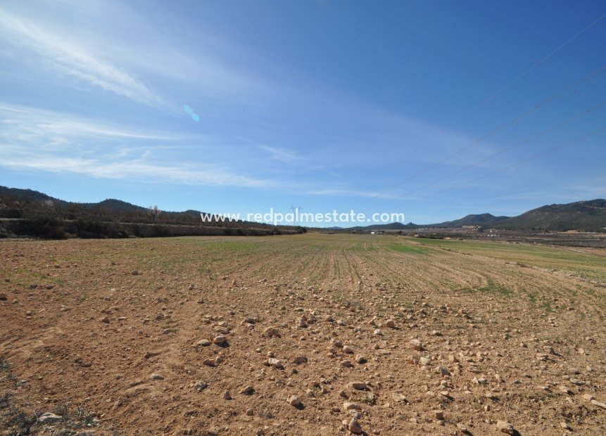 Resale - Plot -
Salinas - Inland