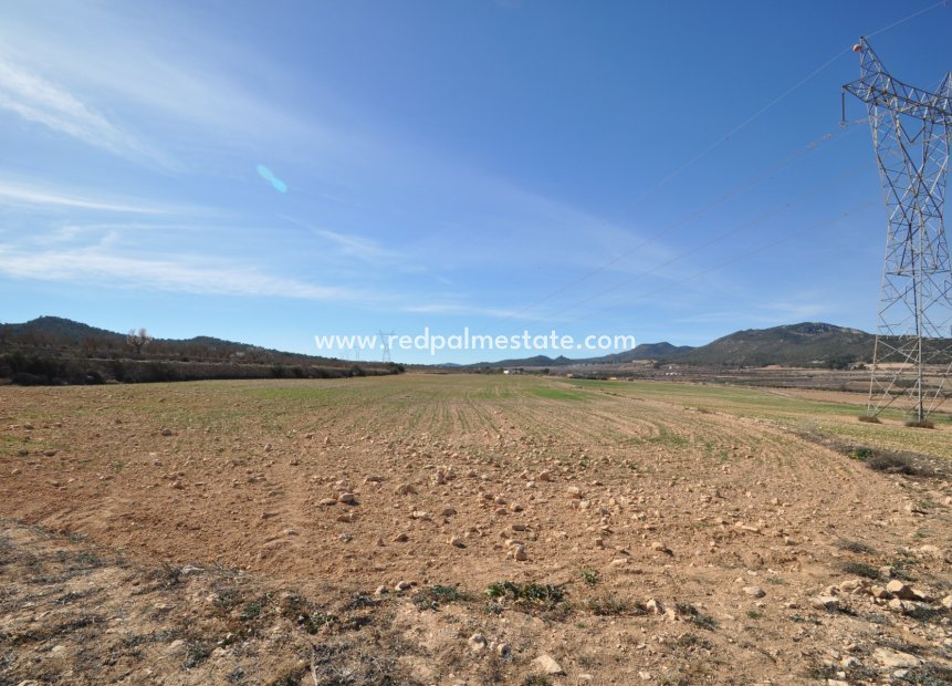 Resale - Plot -
Salinas - Inland