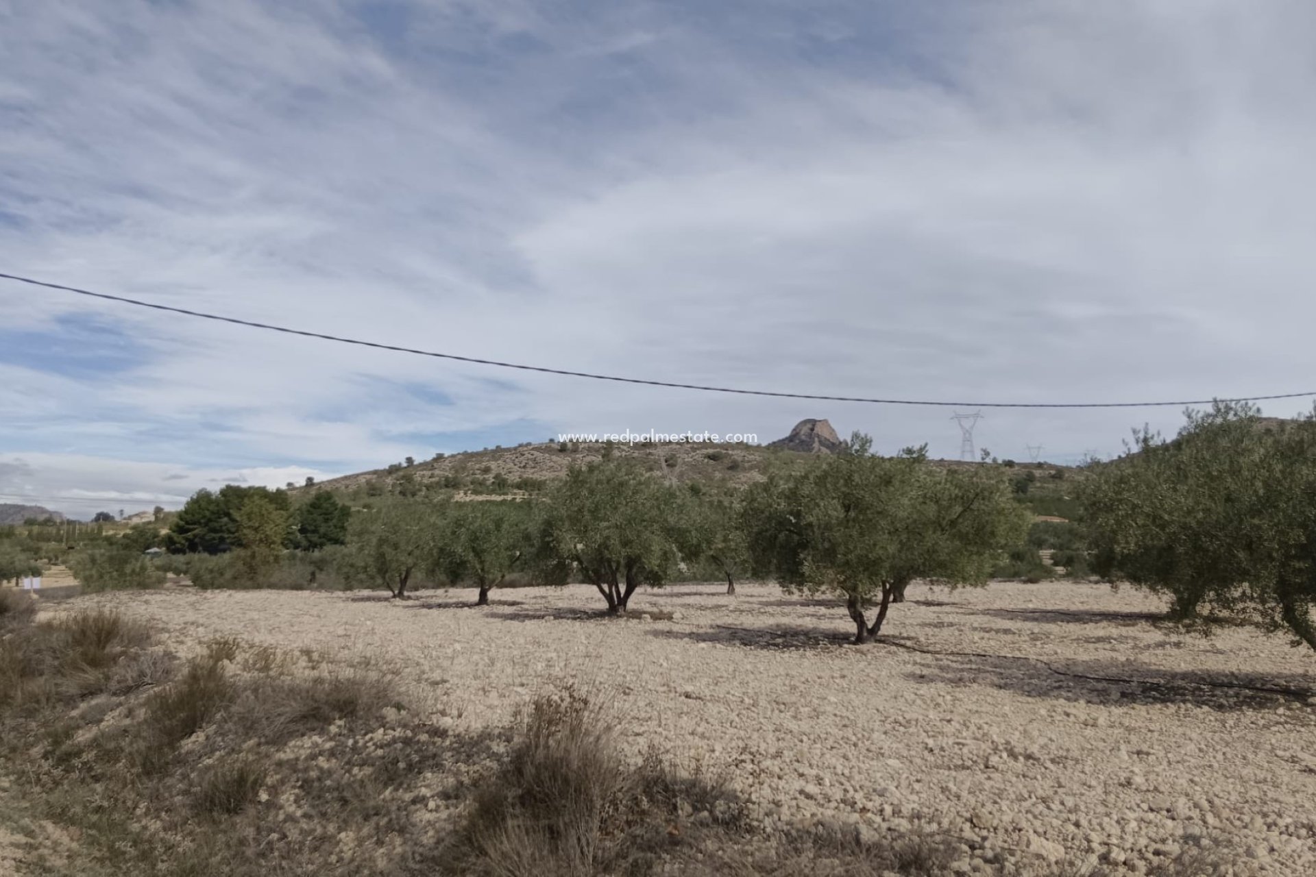 Resale - Plot -
Salinas - Inland