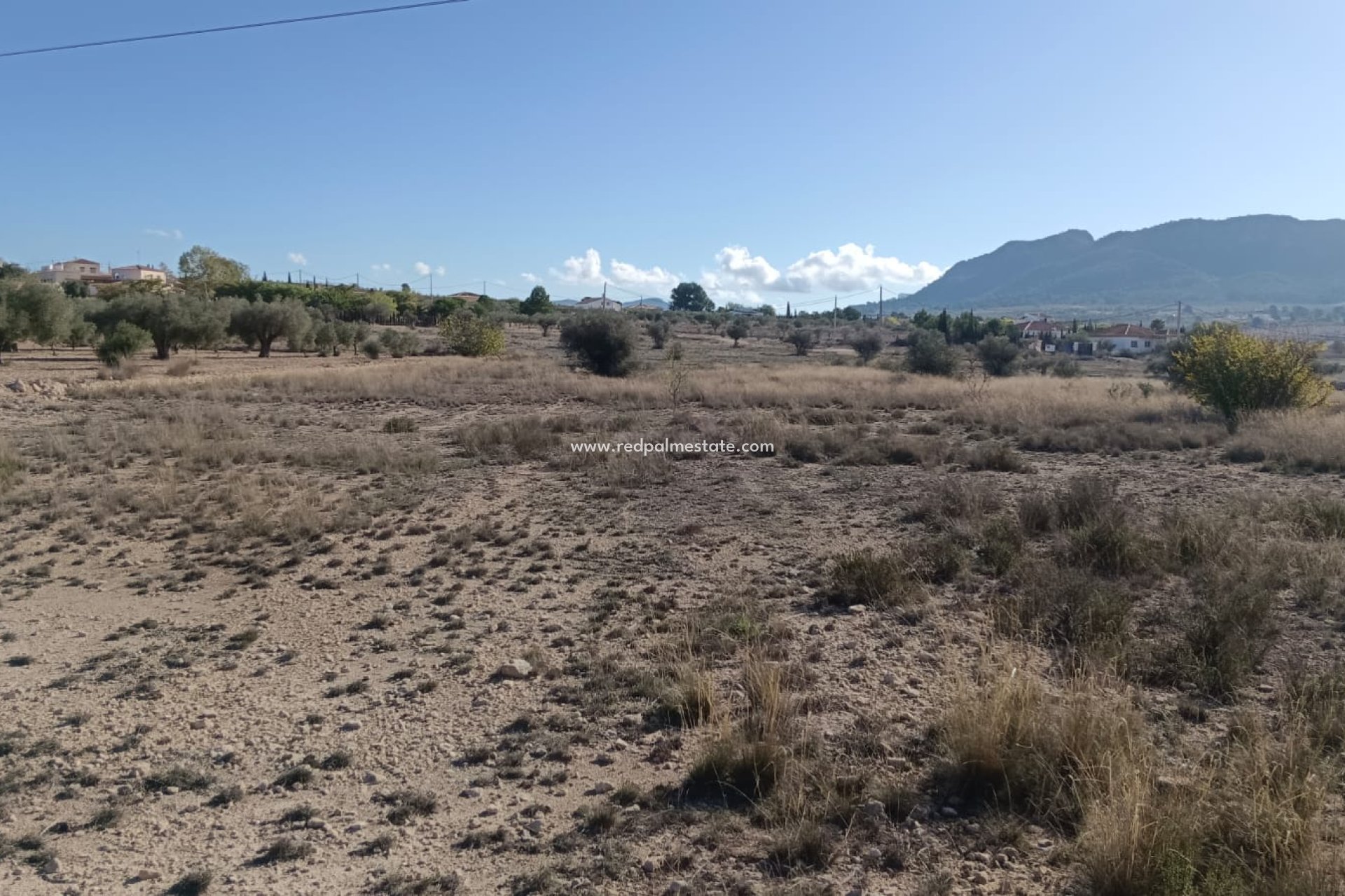 Resale - Plot -
Salinas - Inland