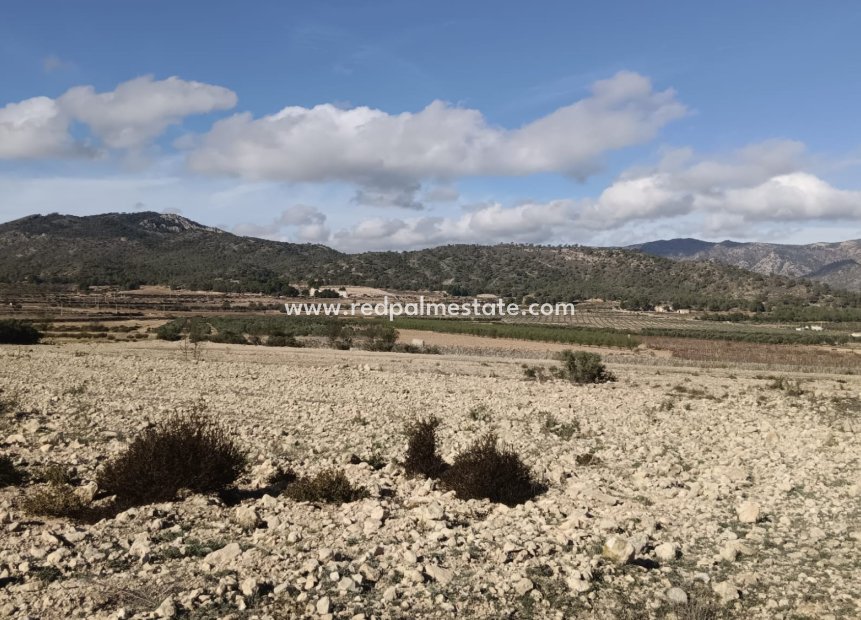 Resale - Plot -
Salinas - Inland