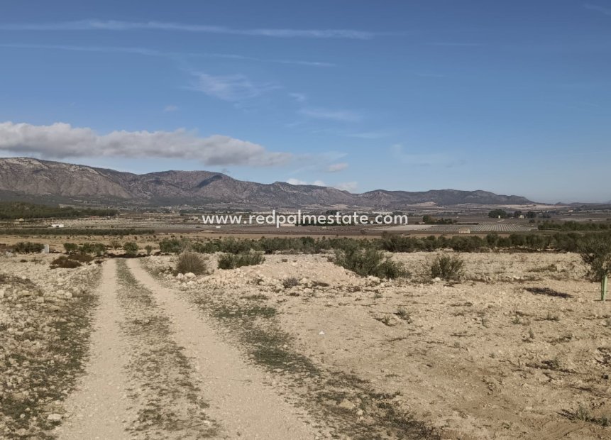 Resale - Plot -
Salinas - Inland