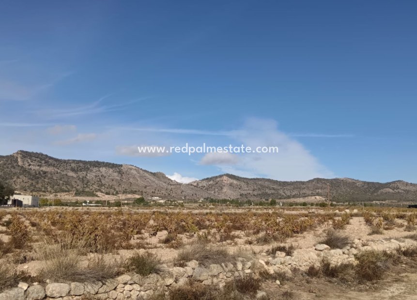 Resale - Plot -
Salinas - Inland