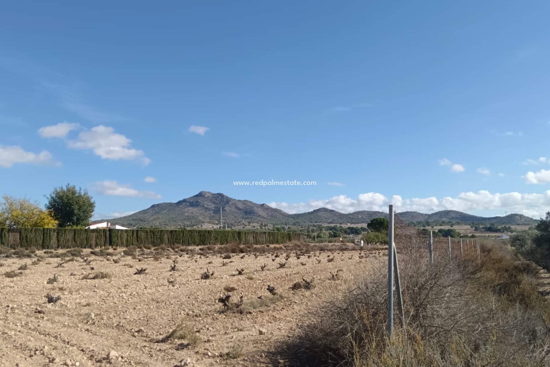 Resale - Plot -
Salinas - Inland