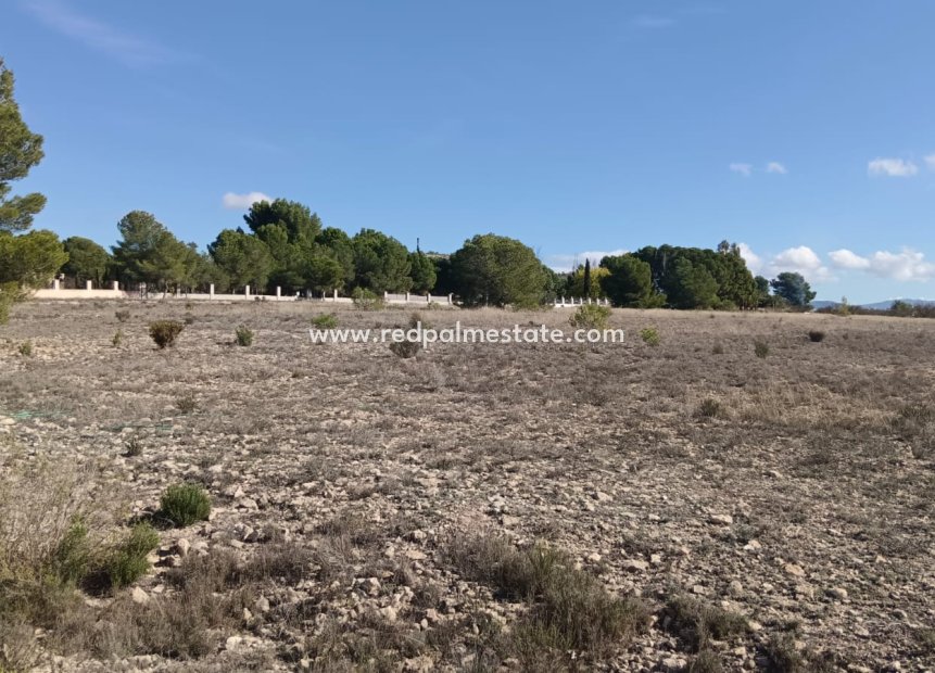 Resale - Plot -
Salinas - Inland