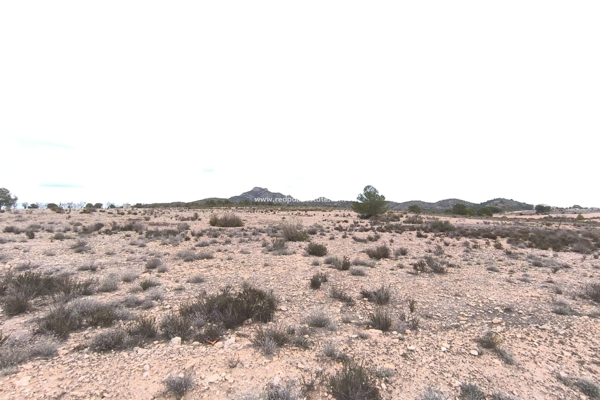 Resale - Plot -
Salinas - Inland