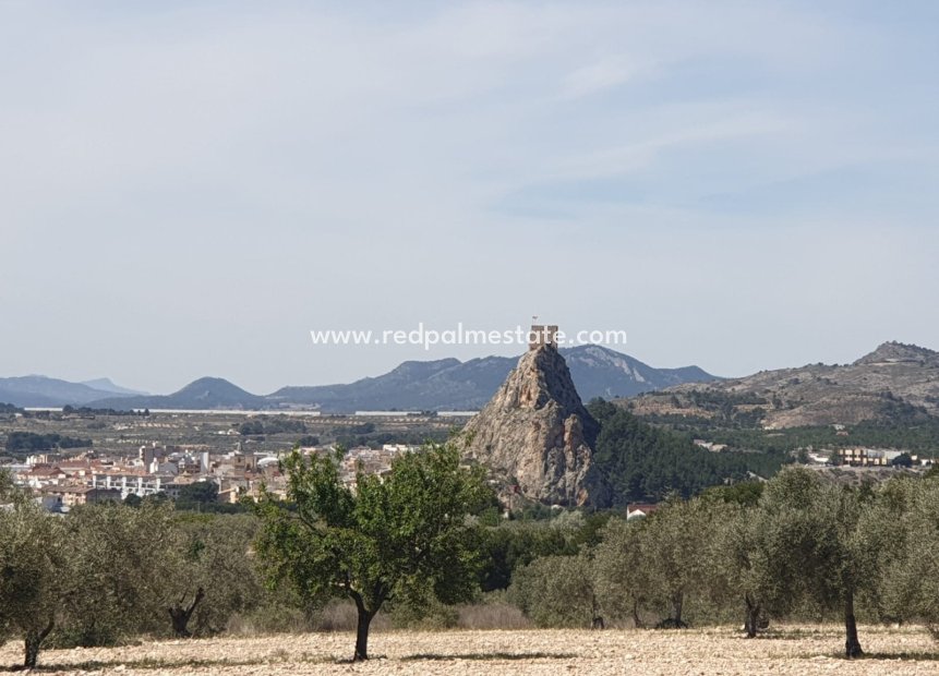 Resale - Plot -
Sax - Inland