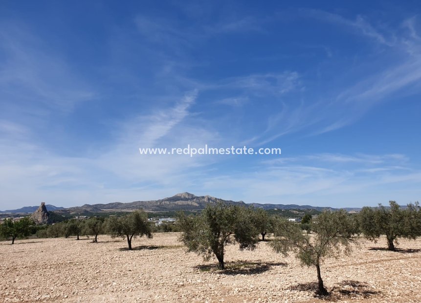 Resale - Plot -
Sax - Inland