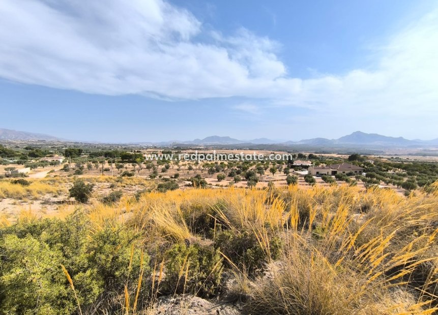 Resale - Plot -
Sax - Inland