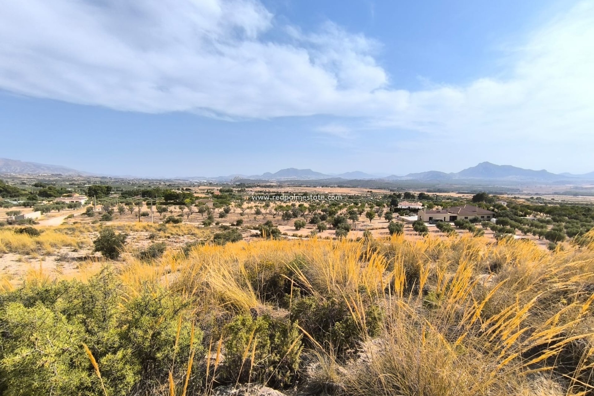 Resale - Plot -
Sax - Inland