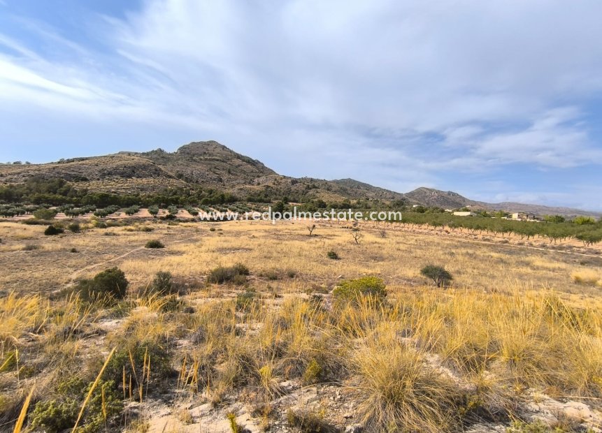 Resale - Plot -
Sax - Inland