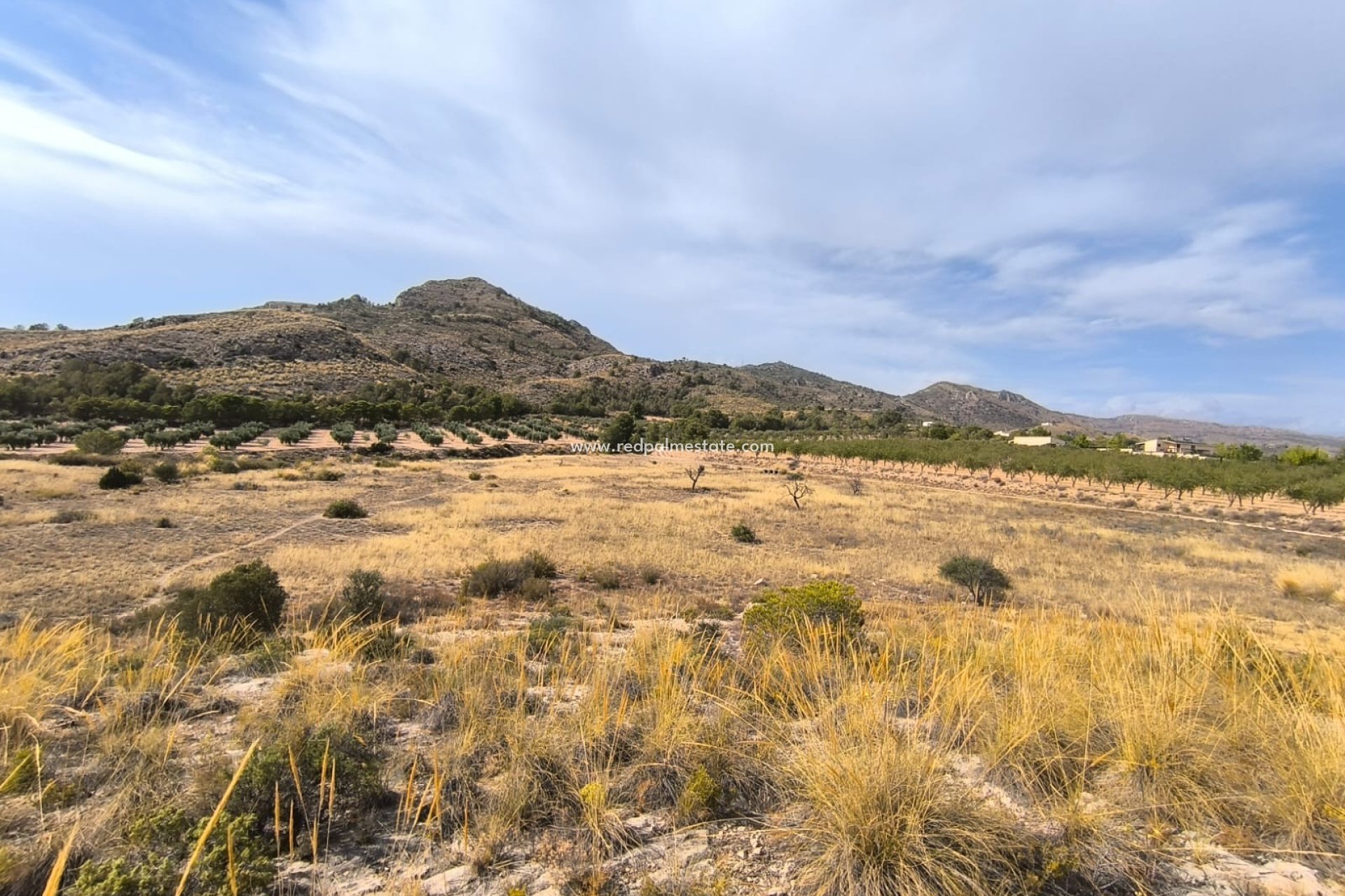 Resale - Plot -
Sax - Inland