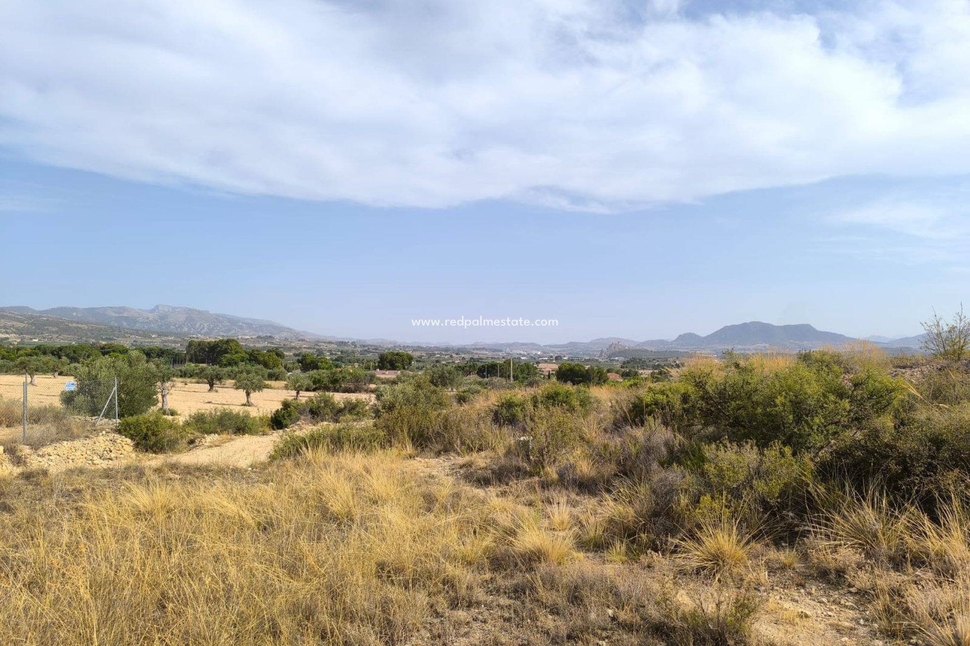 Resale - Plot -
Sax - Inland