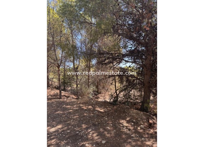 Resale - Plot -
Sierra Cortina - Inland