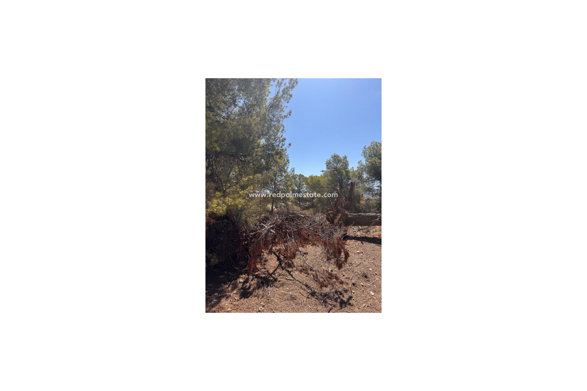 Resale - Plot -
Sierra Cortina - Inland